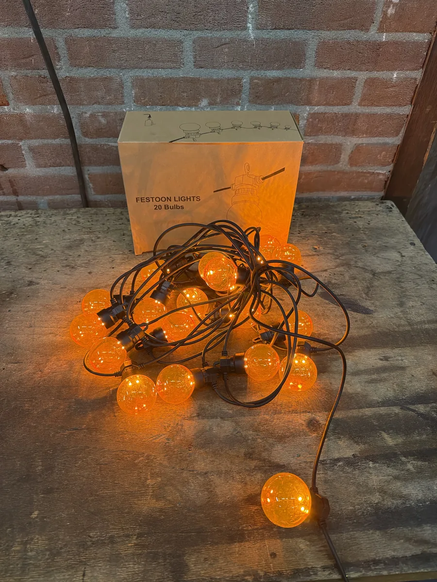 Festoon lights 10 meter, 20 lampen